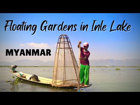 Floating Gardens in Inle Lake
