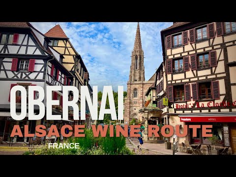 ALSACE WINE ROUTE - OBERNAI