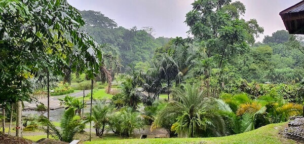 kahvilan edustalla paljon erilaisia puita Grand Gardenista Bogorissa.
