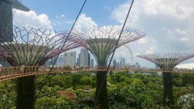 turisteja ihailemassa maisemia kavelysillalla Singaporen Gardens by the Bayn Supertree Grovessa.
