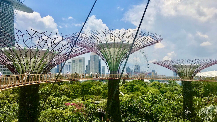 turisteja ihailemassa maisemia kavelysillalla Singaporen Gardens by the Bayn Supertree Grovessa.