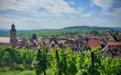 Alsacen viinireitillä – Riquewihr