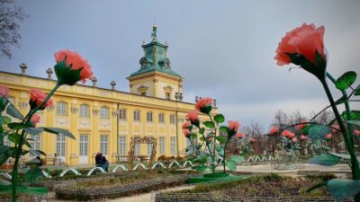 Palatsin takapihalla olevia muovisia isoja ruusuja illalla olevaa valoshowta varten.