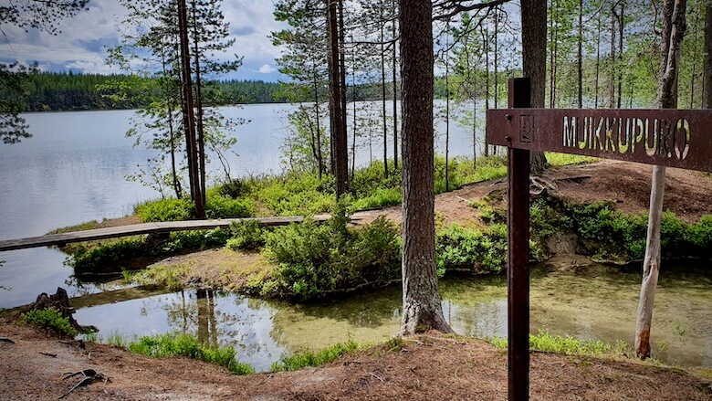 Muikkupurolla.