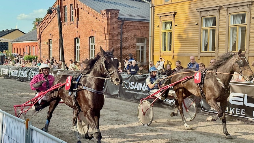 Lappeenrannan Cityravit Kaksi ravihevosta juoksee aidatulla kadulla.